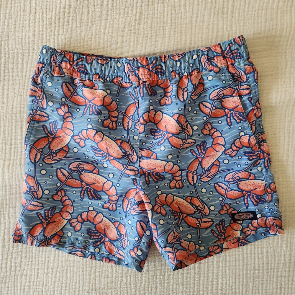 Vinyard Vines Boys Bathing Suit Sz 6